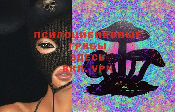 ALPHA-PVP Вяземский