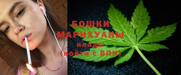 ALPHA-PVP Вяземский