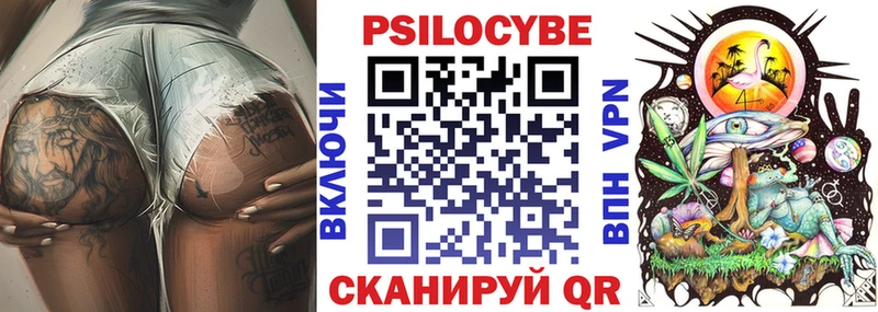 Купить закладки  Мещовск  Псилоцибиновые грибы Psilocybe 